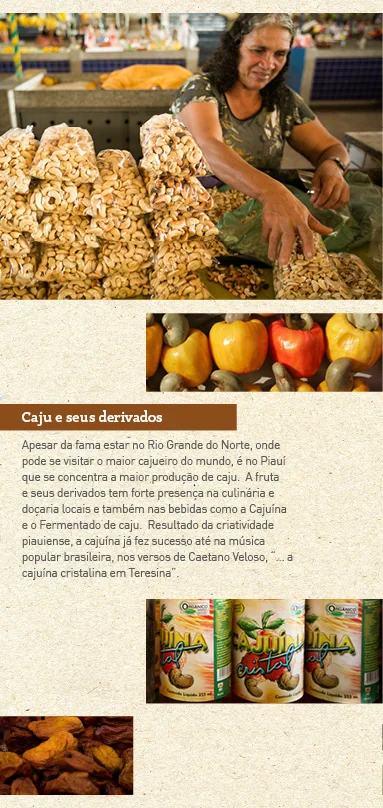 Piauí menu inside panel: cashew and its by-products