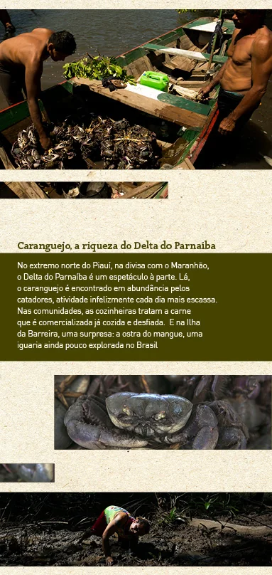 Piauí menu inside panel: crab from the Parnaíba Delta
