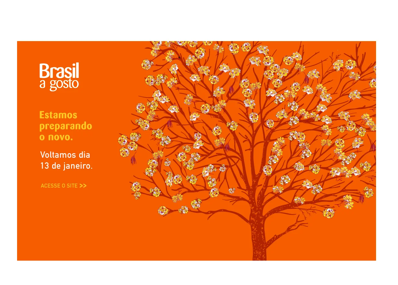 Website banner: the ipê starting to flower