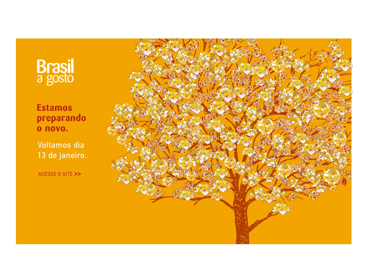 Website banner: the ipê in full bloom, announcing the reopening